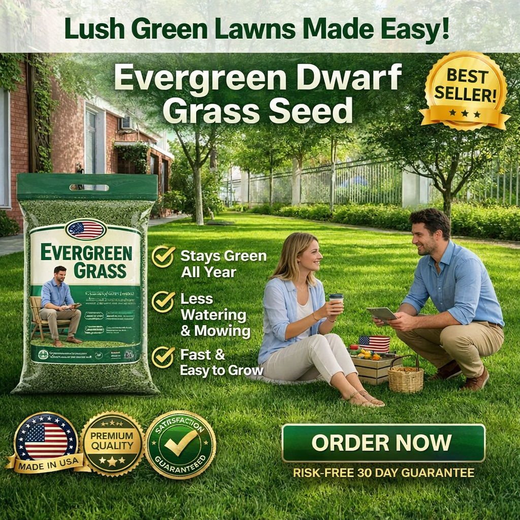 /6a1dbcba36bd7b00098f34b2/2026/06/01/product-img-6a1dbfb791ef3d0d28f676de.png